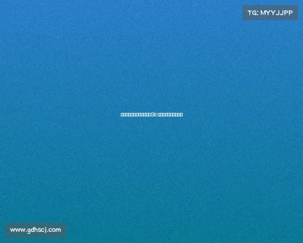 巴勒莫队长布鲁诺里赞曼城B席 因扎吉改变了球队格局